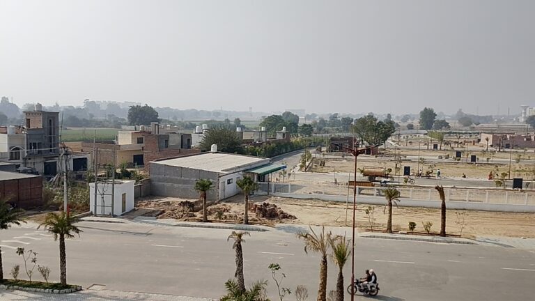 WhatsApp Image 2025-11-26 at 3.22.38 PM (1)