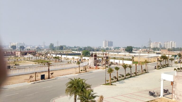 WhatsApp Image 2025-11-26 at 3.22.38 PM